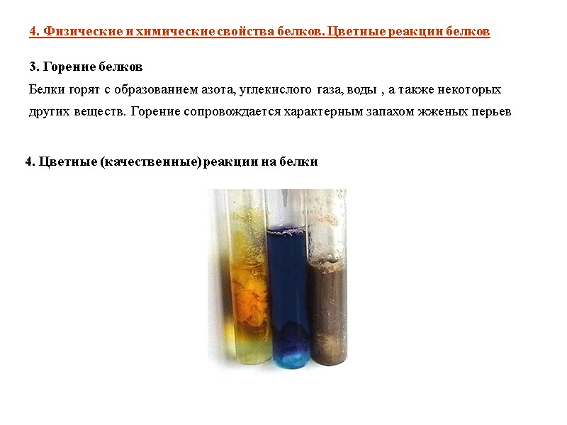 3. Горение белков Белки горят с образованием азота, углекислого газа, воды , а также
